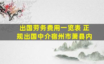 出国劳务费用一览表 正规出国中介宿州市萧县内